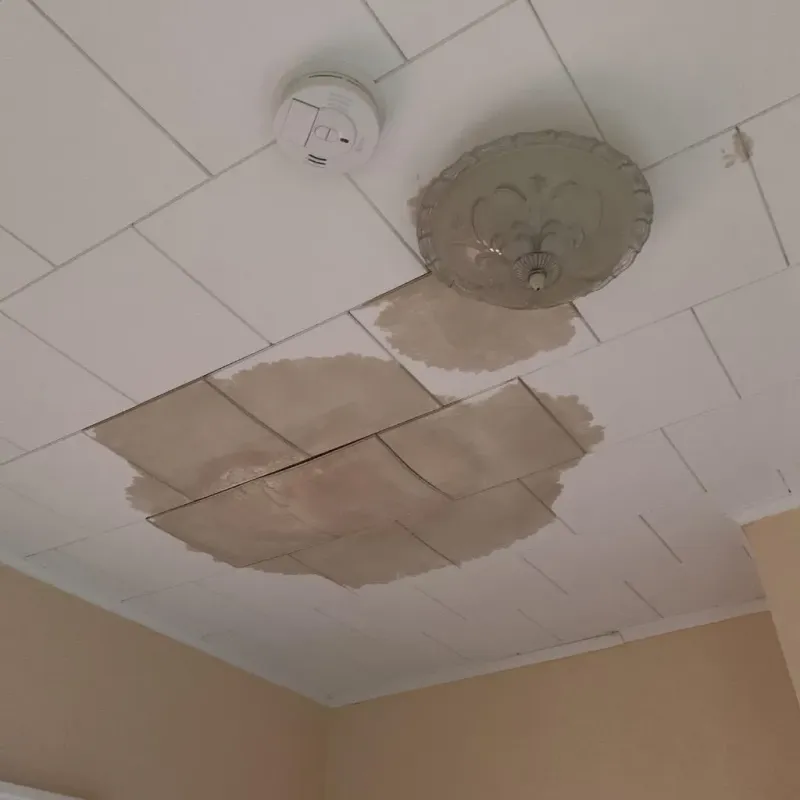 Ceiling Water Damage Repair in Brown County, WI